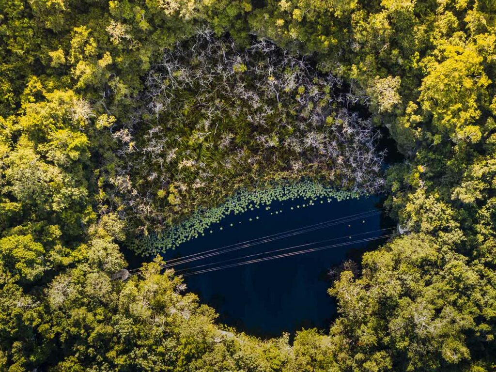 Xenotes Tour Cenotes Canc N Xcaret Entradas Boletos