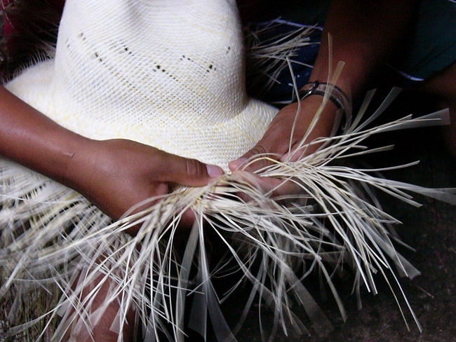 Artesanos fabricando los sombreros Jipi en Becal