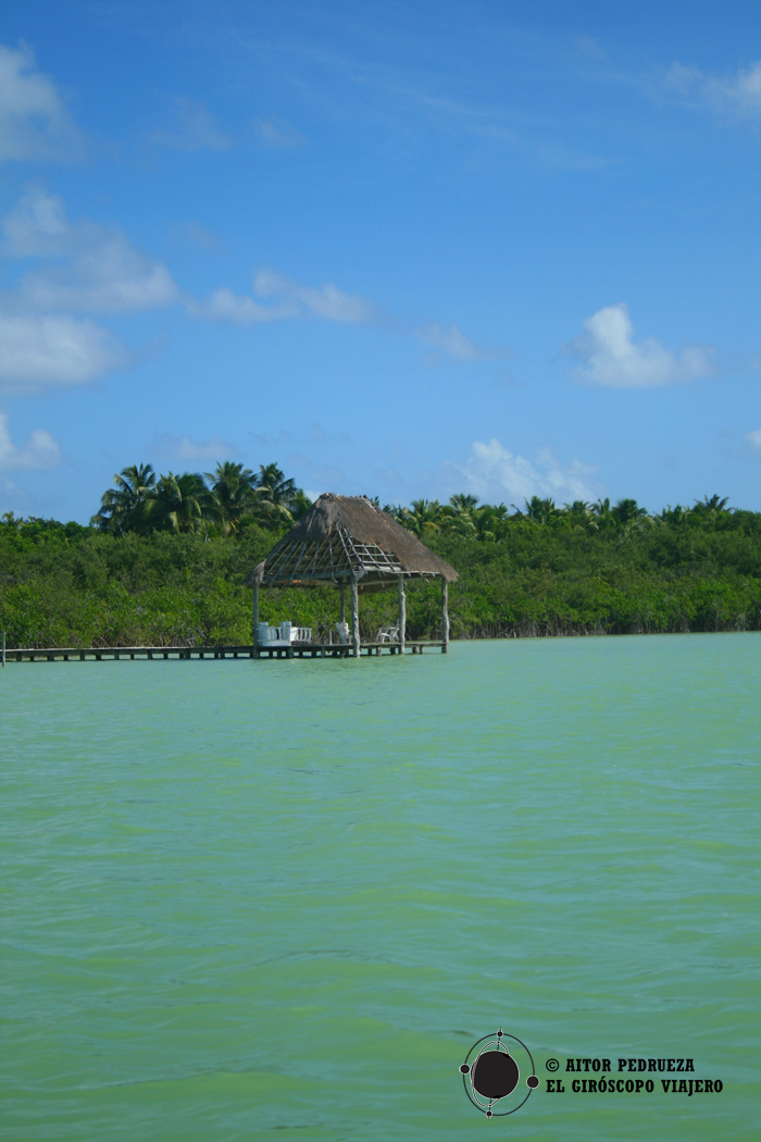 Laguna dela Reserva de Sian Ka'an con los manglares alrededor