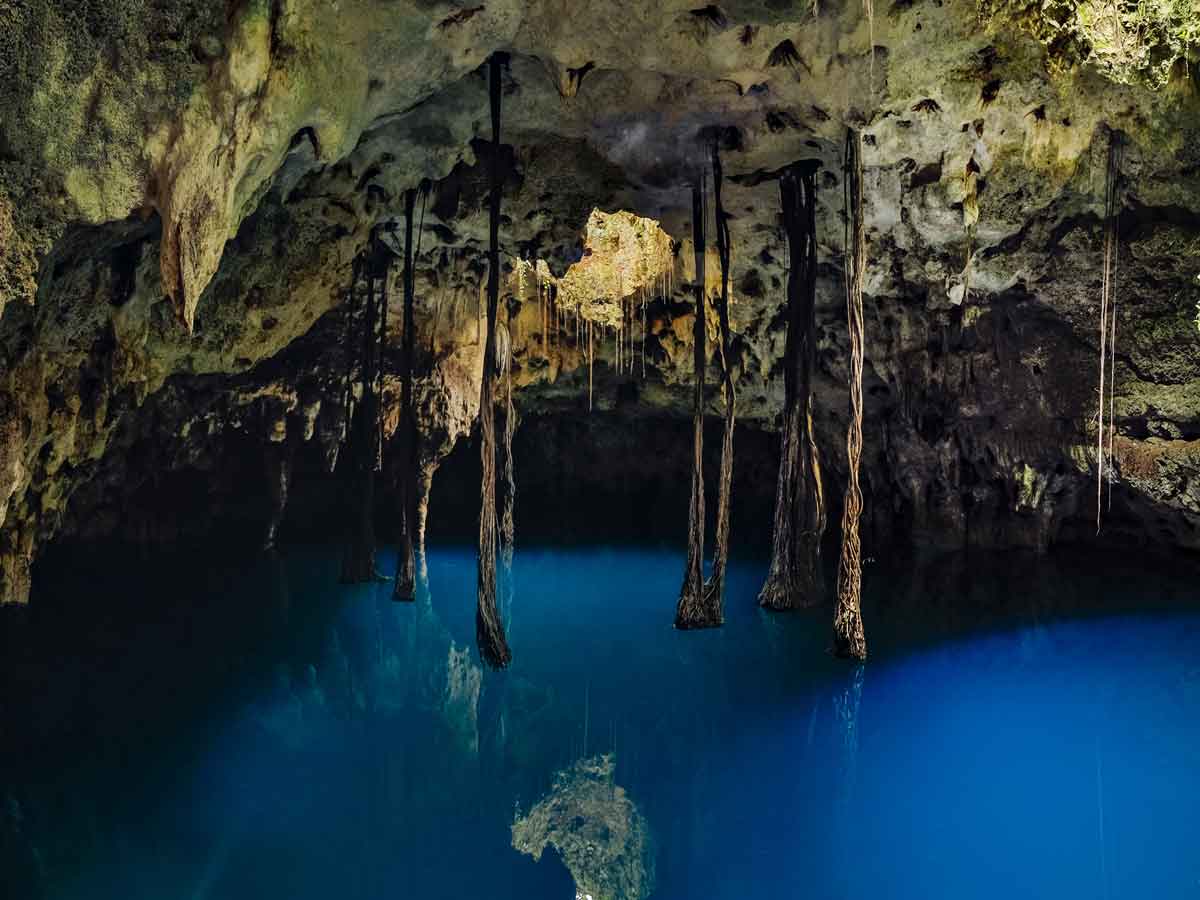 Debajo del agua del cenote