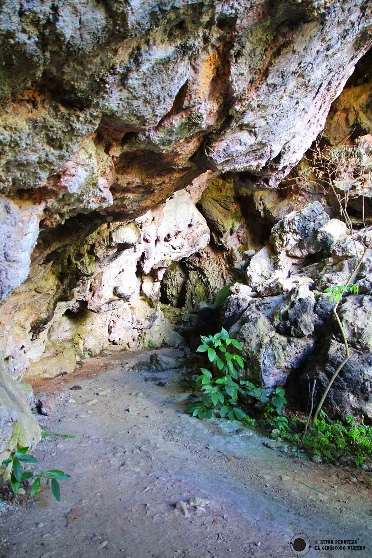 Cueva del Arroyo en Capulálpam de Méndez