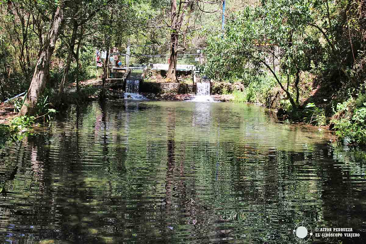 Piscifactoría de truchas en el Centro Recreativo Los Molinos