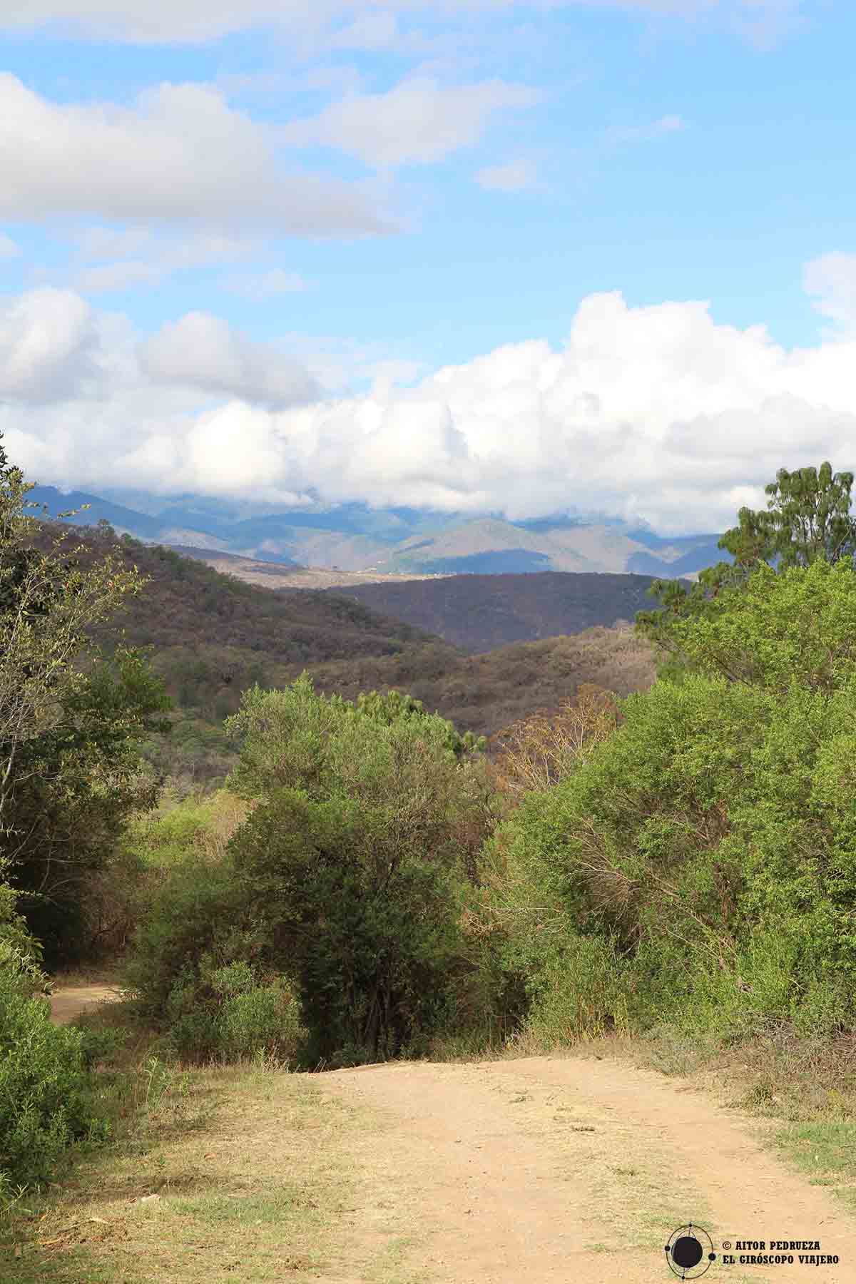 Trekking por los bosques de Capulálpam de Méndez