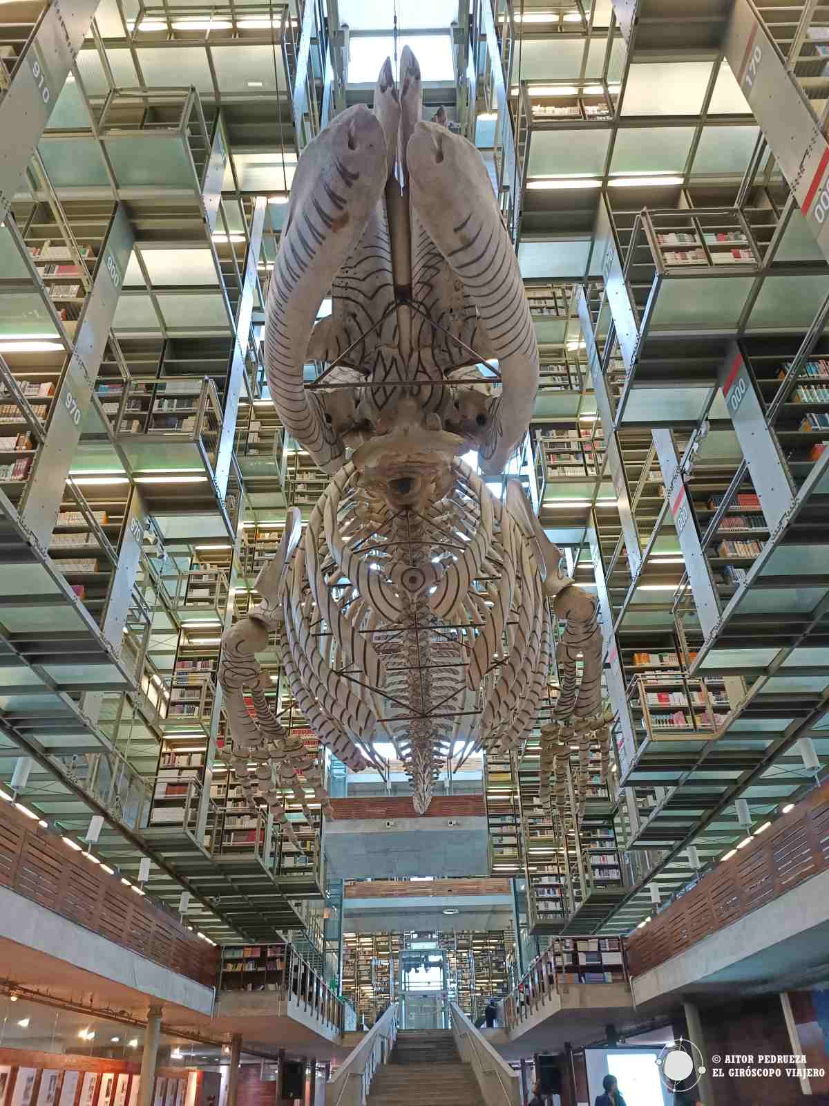 Mátrix Móvil, de Gabriel Orozco en el interior de la Biblioteca Vasconcelos